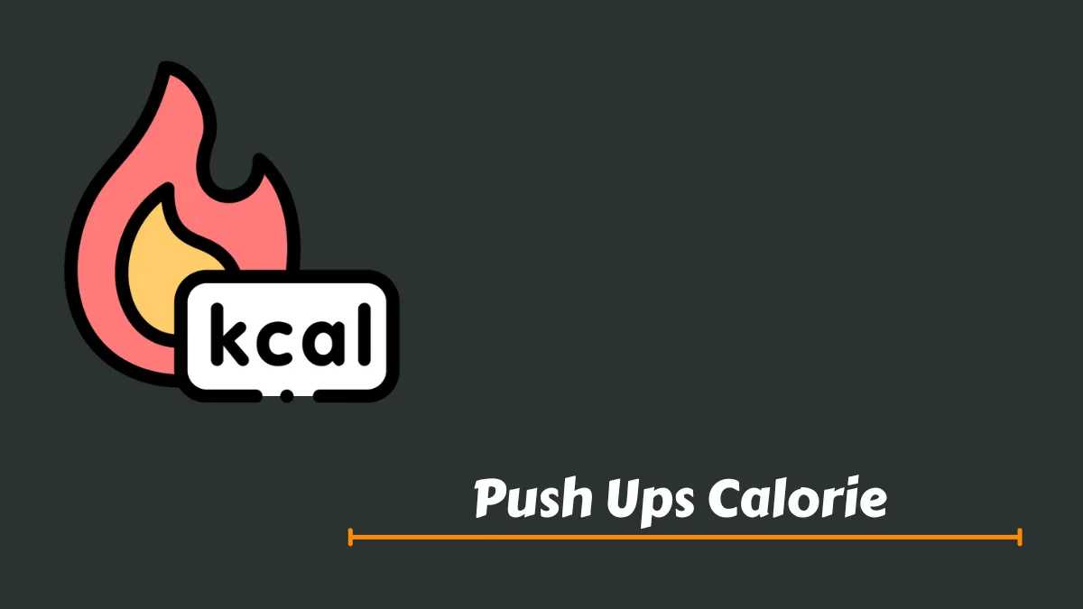 Push Ups Calorie Calculator